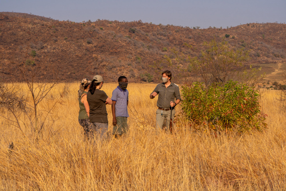 Guided walking safari at Bakubung Game Lodge