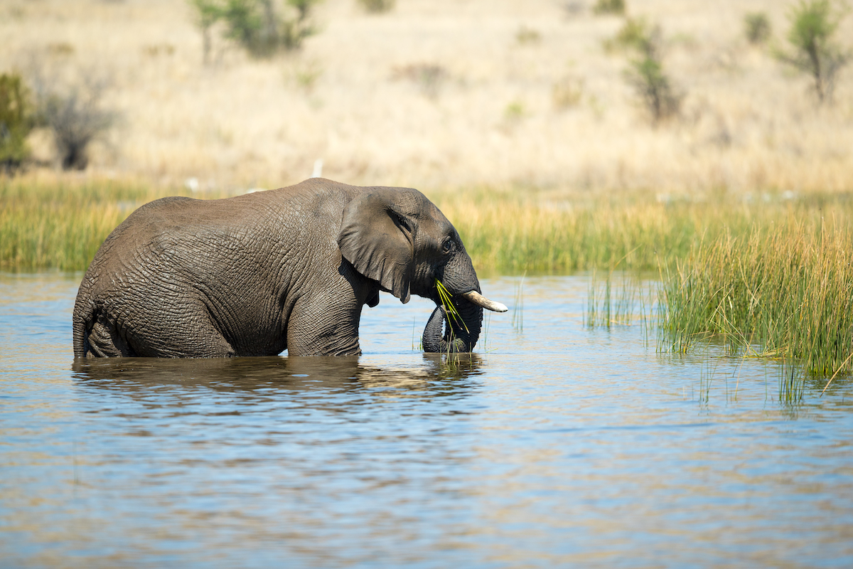 Pilanesberg National Park scenery