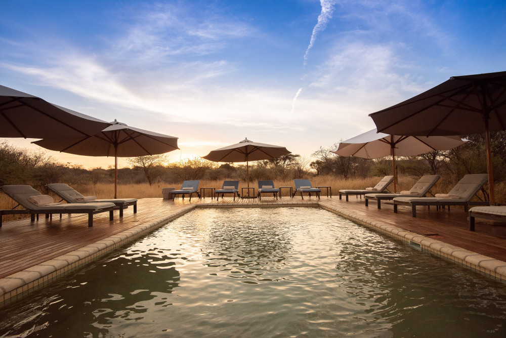 Tau Game Lodge pool overlooking the waterhole in Madikwe Game Reserve