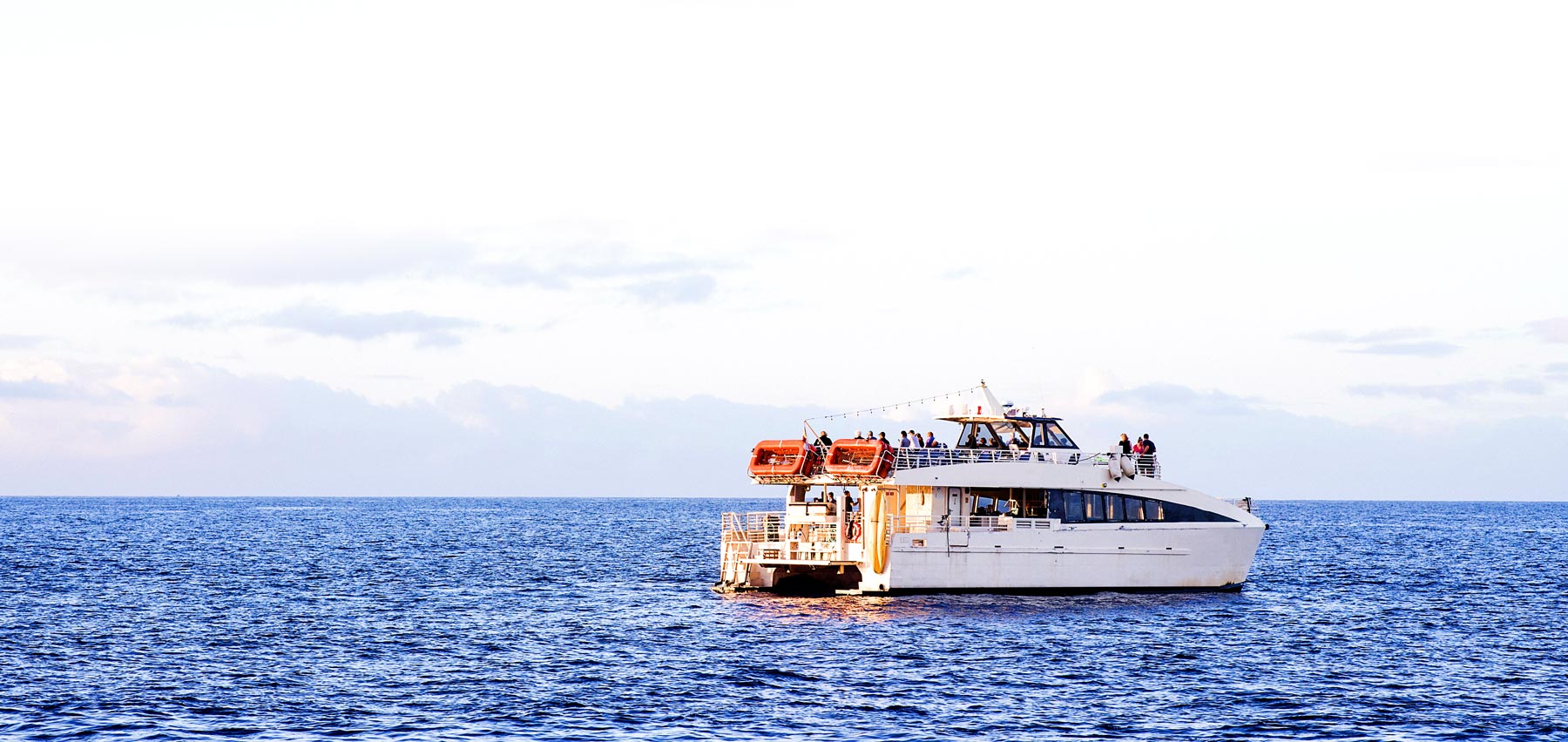 Sightseeing on a BST Tours safari