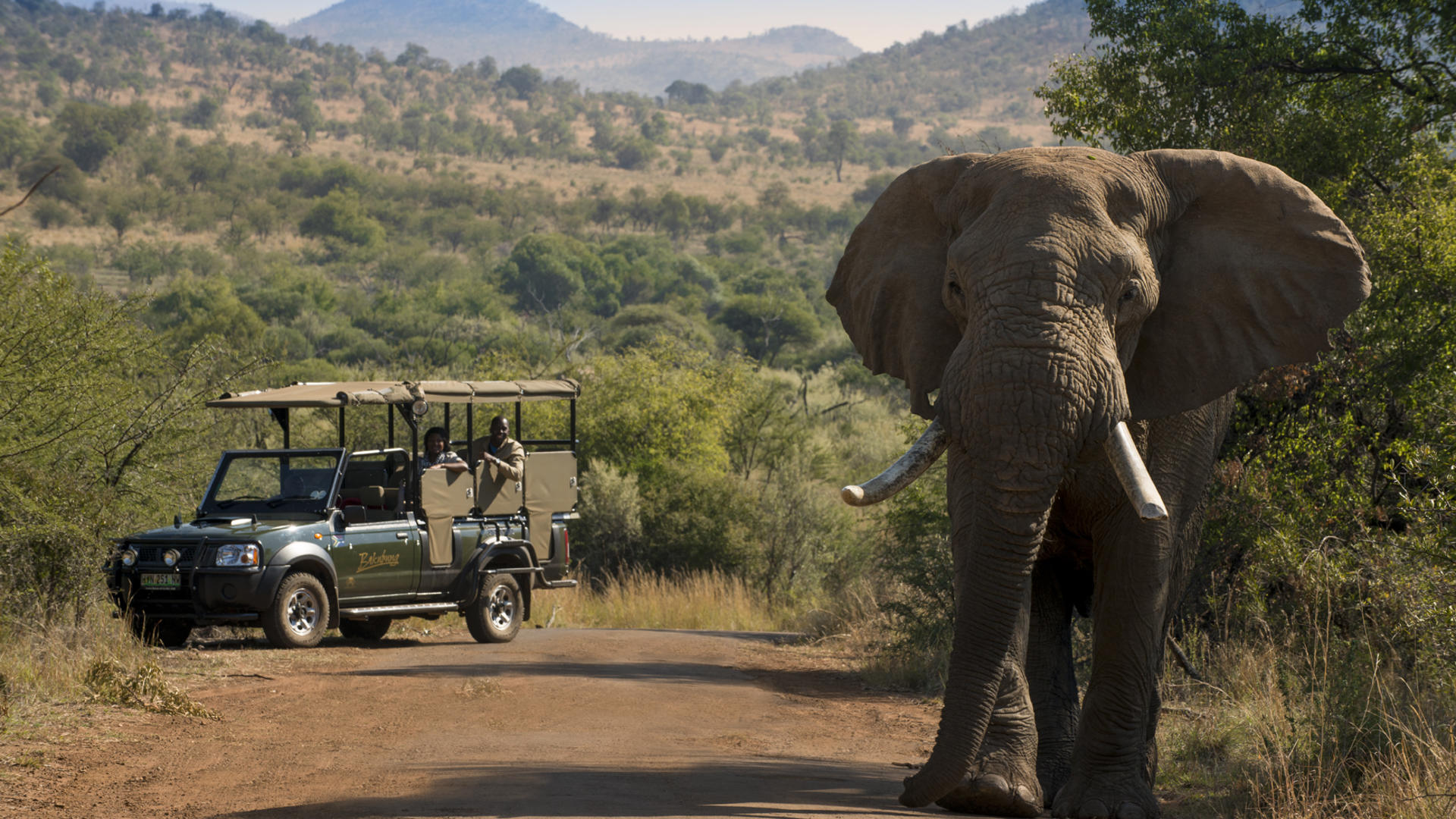 Bakubung Bush Lodge at a Pilanesberg watering hole in South Africa