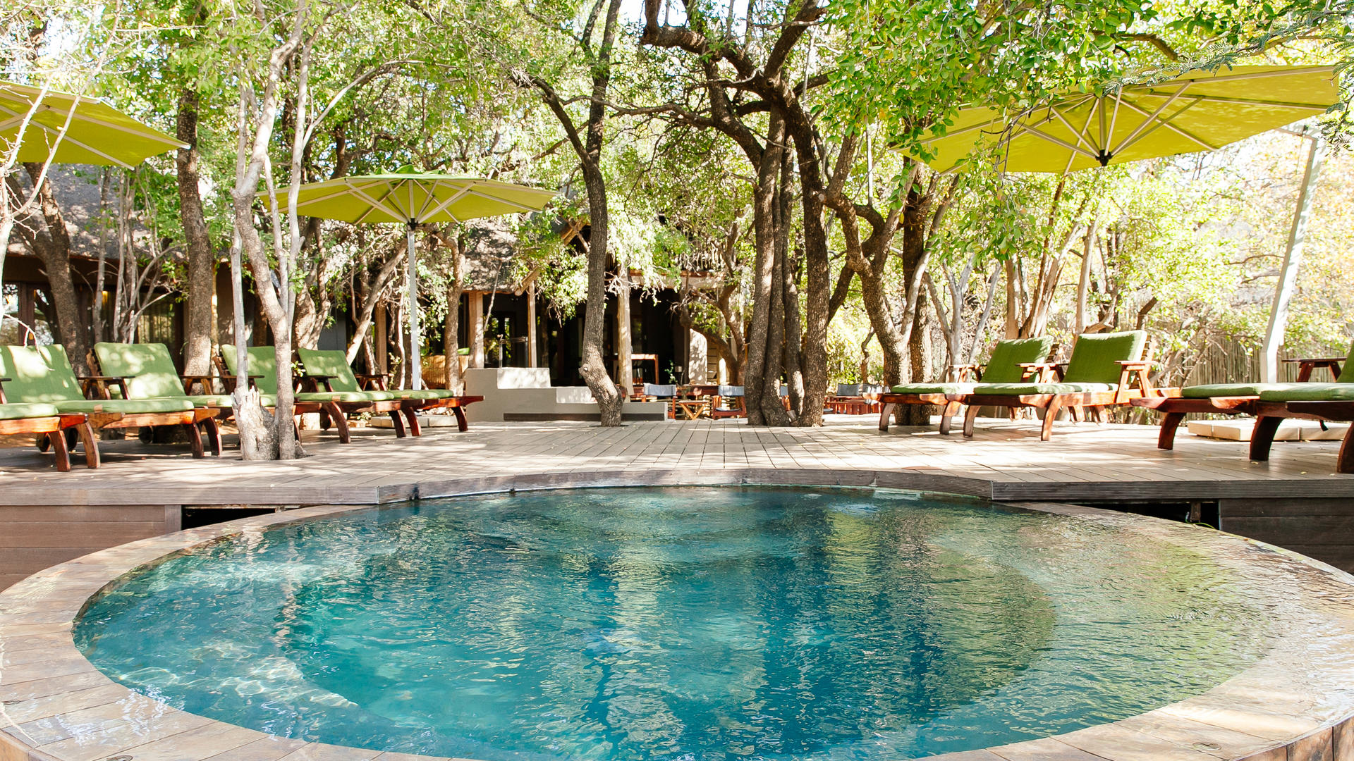 Tambuti Lodge pool surrounded by Tambuti forest, Pilanesberg