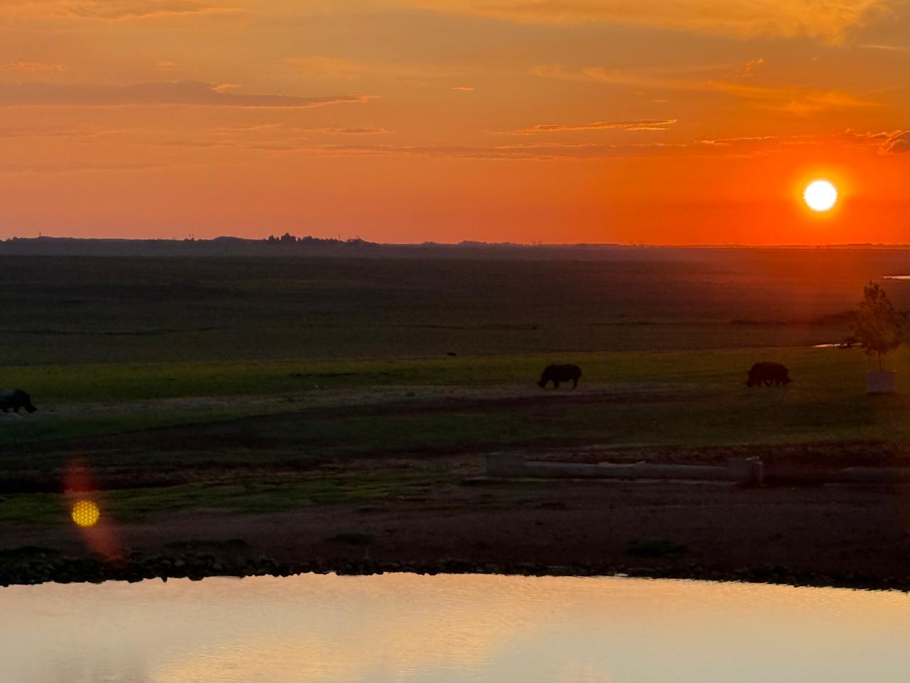 Guests on a guided safari tour in South Africa watching wildlife at golden hour