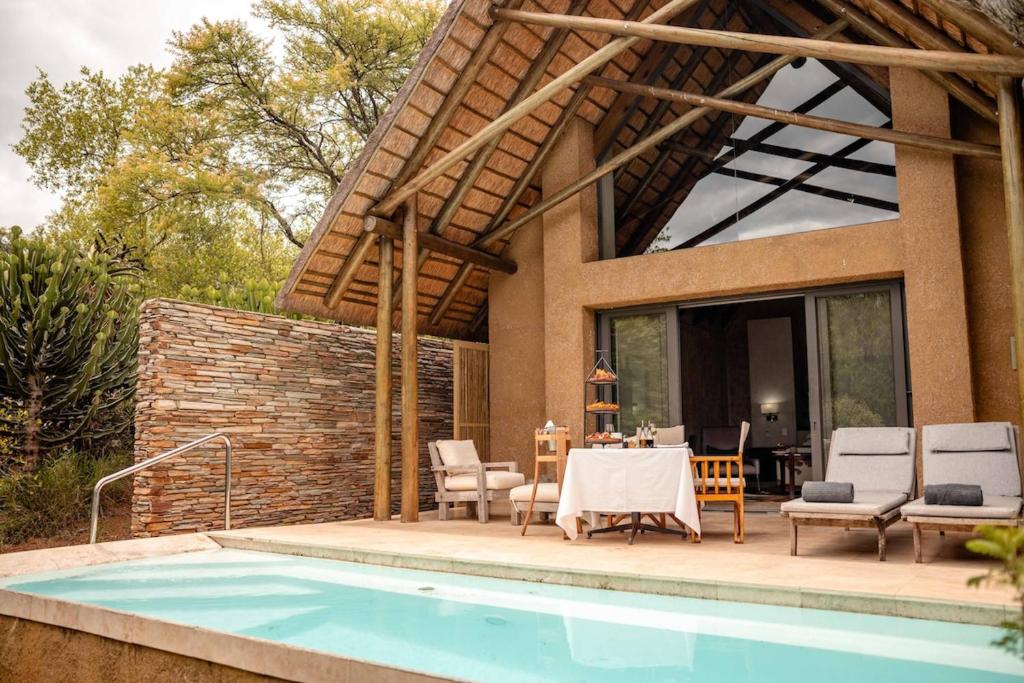 Close encounter with African wildlife on a South Africa safari tour