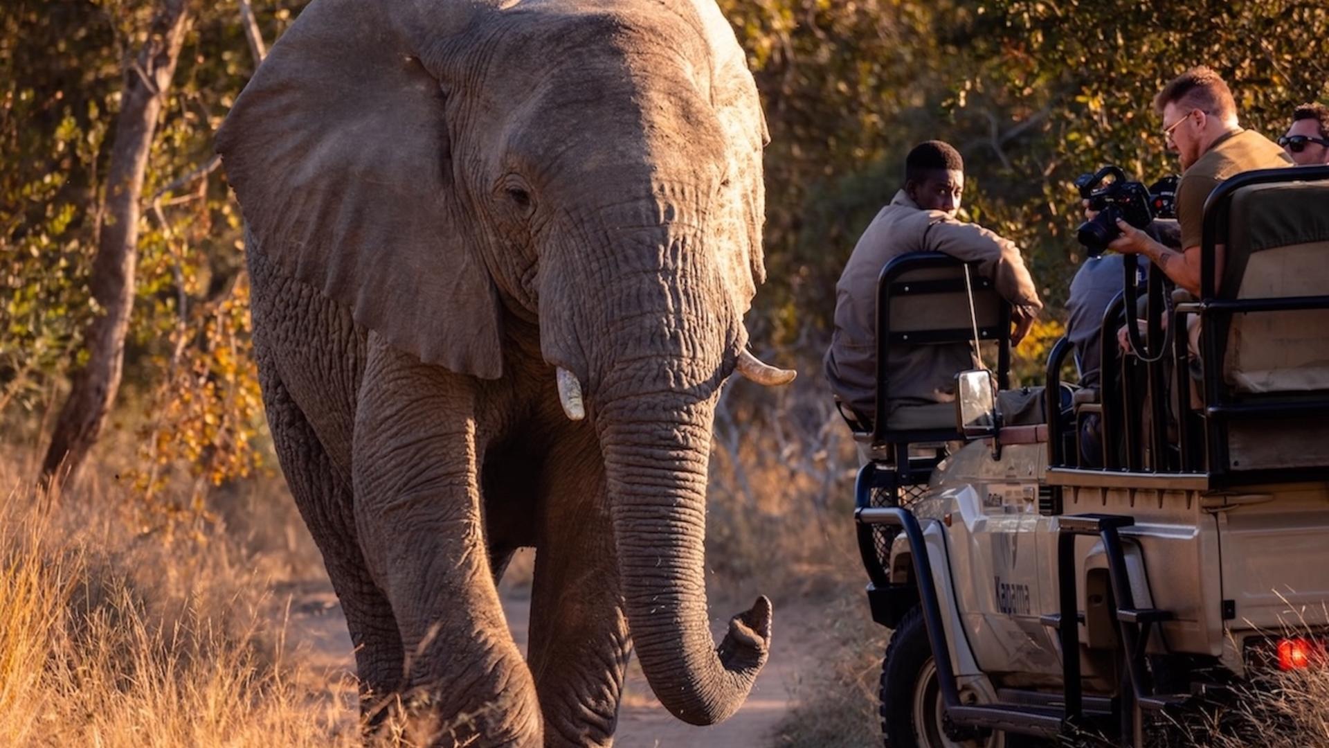Kapama River Lodge suite and Big 5 reserve on the 5 day BST Tours safari package