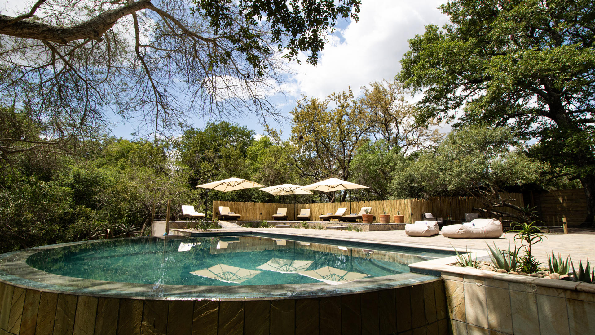 Little Africa lodge and Limpopo bushveld scenery on a BST Tours safari